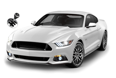 Категория B - Тариф «Оптимальный» - Очно